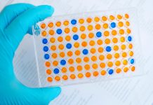 Disciplina de graduação oferece base conceitual de técnicas de biologia molecular para diagnóstico e terapêutica