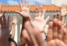 Disciplina de graduação e pós propõe capacitação em métodos científicos para educadores de Ciências